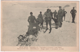 1918-Dogs Used In Transport-a Halt,viaggiata Lineare VI^ Squadriglia E Bollo Di  - Dogs