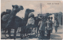 1914-Saluti Da Tobruk Cirenaica, Bollo Ospedale Militare Tobruk - Cirenaica