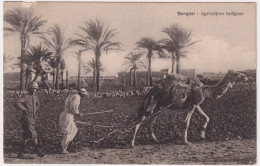 1912-Guerra Italo Turca Bengasi Agricoltore Indigeno, Viaggiata - Marcophilie