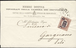 1879-Piego Affrancato 2c. Su 0,02 Lacca - Poststempel
