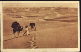 1924-Libia Cartolina Vojage D'un Harem A Travers Le Desert Affrancata 15c. Pitto - Libye