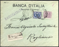 1929-raccomandata Della Banca D'Italia Succursale Di Cosenza Per Rogliano Affran - Marcofilie