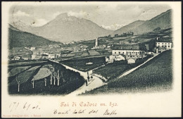 1901-Tai Di Cadore (Belluno) Viaggiata - Belluno