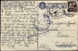 1943-posta Militare N.187 Del 1.9 Su Cartolina In Franchigia Con Fori Di Spillo  - War 1939-45