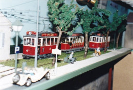 Photo Originale - 21- DIJON - Maquette De Tramway - Modele Reduit - Allée Du Parc - Reseau Des T.E.D -  - Eisenbahnen
