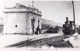 Photo - 69 - Rhone - THEIZE - Gare Du C.F.B - Train Vapeur - Ligne De Tarare-  Retirage - Non Classés