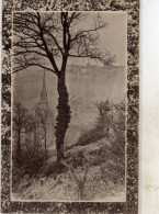 Fougeres Le Brouillard Sur La Basse - Fougeres