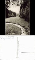 Ansichtskarte Tambach-Dietharz Apfelstädter Grund 1965 - Tambach-Dietharz