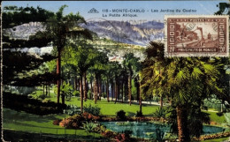 CPA Monte-Carlo Monaco, Les Jardins Du Casino, La Petite Afrique - Sonstige & Ohne Zuordnung