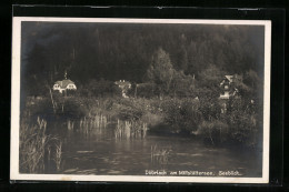 AK Döbriach Am Millstättersee, Seeblick  - Autres & Non Classés