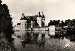 France > [45] Loiret > Sully Sur Loire - Le Chateau Et La Sauge - 8647 - Sully Sur Loire