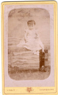 Photo CDV D'une Petite Fille   élégante Posant Dans Un Studio Photo A Cherbourg - Oud (voor 1900)