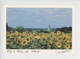 Milly La Forêt, Les Soleils "C'est à Milly....chose...rare.."un Cadre" Cocteau 1987 - Tournesols Cp N°6800 Yvon - Milly La Foret