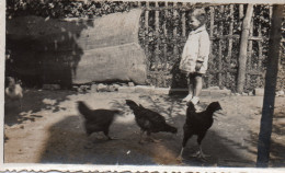 Photographie Vintage Photo Snapshot Poule Poulet Chicken Enfant Basse Cour - Autres & Non Classés