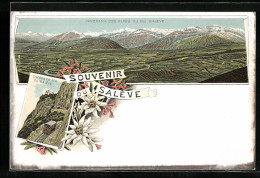 Lithographie Salève, Chemin De Fer, Panorama Des Alpes  - Andere & Zonder Classificatie
