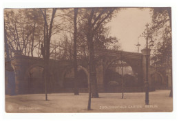 Germany,Berlin ,zoologischer Garten,Bärenzwinger - Autres & Non Classés