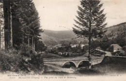 - 88 - BUSSANG (Vosges) - Vue Prise Du Pont De Séchenat - Scan Verso - - Bussang