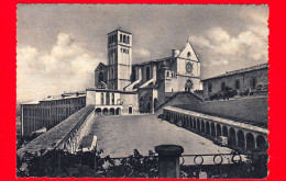 ITALIA - UMBRIA -  Assisi (Perugia) - Basilica Di S. Francesco - Cartolina Non Viaggiata - Sonstige & Ohne Zuordnung