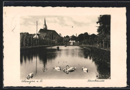 AK Ehingen A. D., Krockensee Mit Kirche  - Other & Unclassified