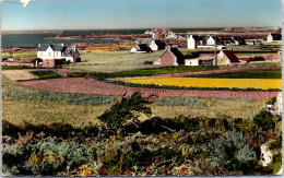 22 ROYAU Cartes Postales Anciennes [REF/42828] - Autres & Non Classés