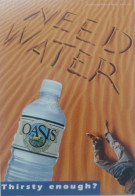 Carte Postale - Oasis (boisson - Eau Minérale) Need Water (homme Allongé Dans Le Désert) - Publicité