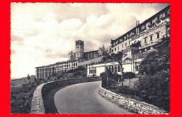ITALIA - UMBRIA -  Assisi (Perugia) - Basilica Di S. Francesco E Sacro Convento - Cartolina Non Viaggiata - Sonstige & Ohne Zuordnung