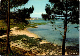 40 PAYSAGE DES LANDES Cartes Postales Anciennes [REF/43442] - Sonstige & Ohne Zuordnung