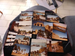 P-991 , Lot De 20 Photos, Voyage En Egypte, Chameaux, Excursions, Vie Locale, Karnak... 1983 - Plaatsen