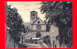 ITALIA - UMBRIA -  Assisi (Perugia) - Chiesa Superiore Di S. Francesco - Cartolina Non Viaggiata - Other & Unclassified