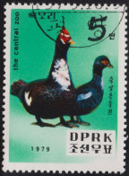 1979 Korea (Nord-) ⵙ Mi:KP 1905, Sn:KP 1864, Yt:KP 1543, Sg:KP 1901, Muscovy Duck (Cairina Moschata) - Korea, North