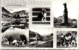 74 LE GRAND SAINT BERNARD Cartes Postales Anciennes [REF/44718] - Sonstige & Ohne Zuordnung