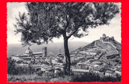ITALIA - UMBRIA -  Assisi (Perugia) - Panorama Con Veduta Della Rocca Medioevale - Cartolina Non Viaggiata - Sonstige & Ohne Zuordnung