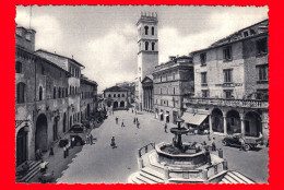 ITALIA - UMBRIA -  Assisi (Perugia) - Piazza Del Comune - Cartolina Non Viaggiata - Andere & Zonder Classificatie