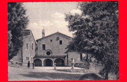 ITALIA - UMBRIA -  Assisi (Perugia) - Santuario Di S. Damiano (XI) Sec.) - Cartolina Non Viaggiata - Autres & Non Classés