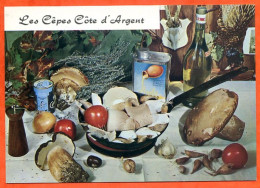 Recette Cuisine LES CEPES COTE D ARGENT 86 Emilie BERNARD  Lyna Carte Vierge TBE - Küchenrezepte