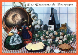 Recette Cuisine  LES ESCARGOTS DE BOURGOGNE 24 Dentelée Emilie BERNARD  Lyna Carte Vierge TBE - Küchenrezepte