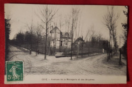 CPA - Coye -(Oise) - Avenue De La Ménagerie Et Des Bruyères - Autres & Non Classés