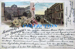 Litho Salutari BUCURESCI 1898, Calea VICTORIEI, Palatul ROMANIT (Ministerul FINANTE), Timbru - Roemenië