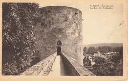 CPA Gisors-Le Château-La Tour Du Prisonnier     L2960 - Gisors