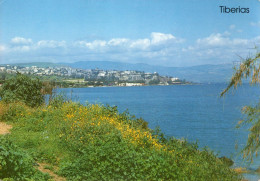 Tiberias, View From The South- Publ.Palphot - Israel