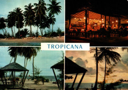 CPM - LIBREVILLE - Tropicana (Club) - Edition Iris-Mexichrome - Gabon