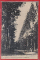 Carte Postale 85. Olonne  La Forêt Route Des Sables-d'Olonne Vers La Gachère    Très Beau Plan - Other & Unclassified