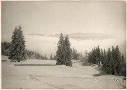 Large Original Photograph (approx 6½"x4½")-View Above The Clouds In Norway - Europa