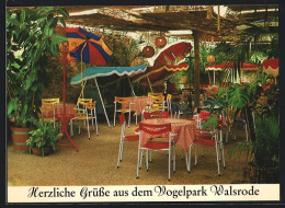 AK Walsrode, Tropencafe In Der Paradieshalle Im Vogelpark  - Walsrode