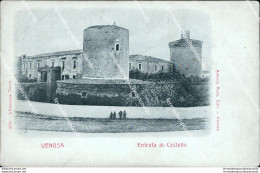 Ce382 Cartolina Venosa Entrata Al Castello Provincia Di Potenza - Potenza