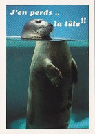 AK 214368 SEAL / SEEHUND ... - Autres & Non Classés