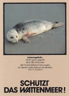 AK 214369 SEAL / SEEHUND ... - Autres & Non Classés