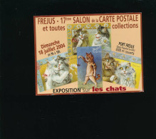 Fréjus 2004 - 17 ème Salon Cartes Postales Collections  - Exposition Sur Les Chats Katz Cats - Beursen Voor Verzamellars