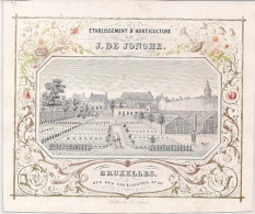 BRUXELLES-BRUSSEL "J.DE JONGHE-ETABLISSEMNT D'HORTICULTURE"LTH.SCHILDKNECHT-187/160MM - Porcelana