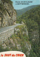 CPM.  ROUTE DE ST CLAUDE A SEPTMONCEL . LE SAUT DU CHIEN.  AFFR LE 22-9-1982  .  2 SCANNES - Saint Claude